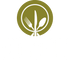 Kochschein