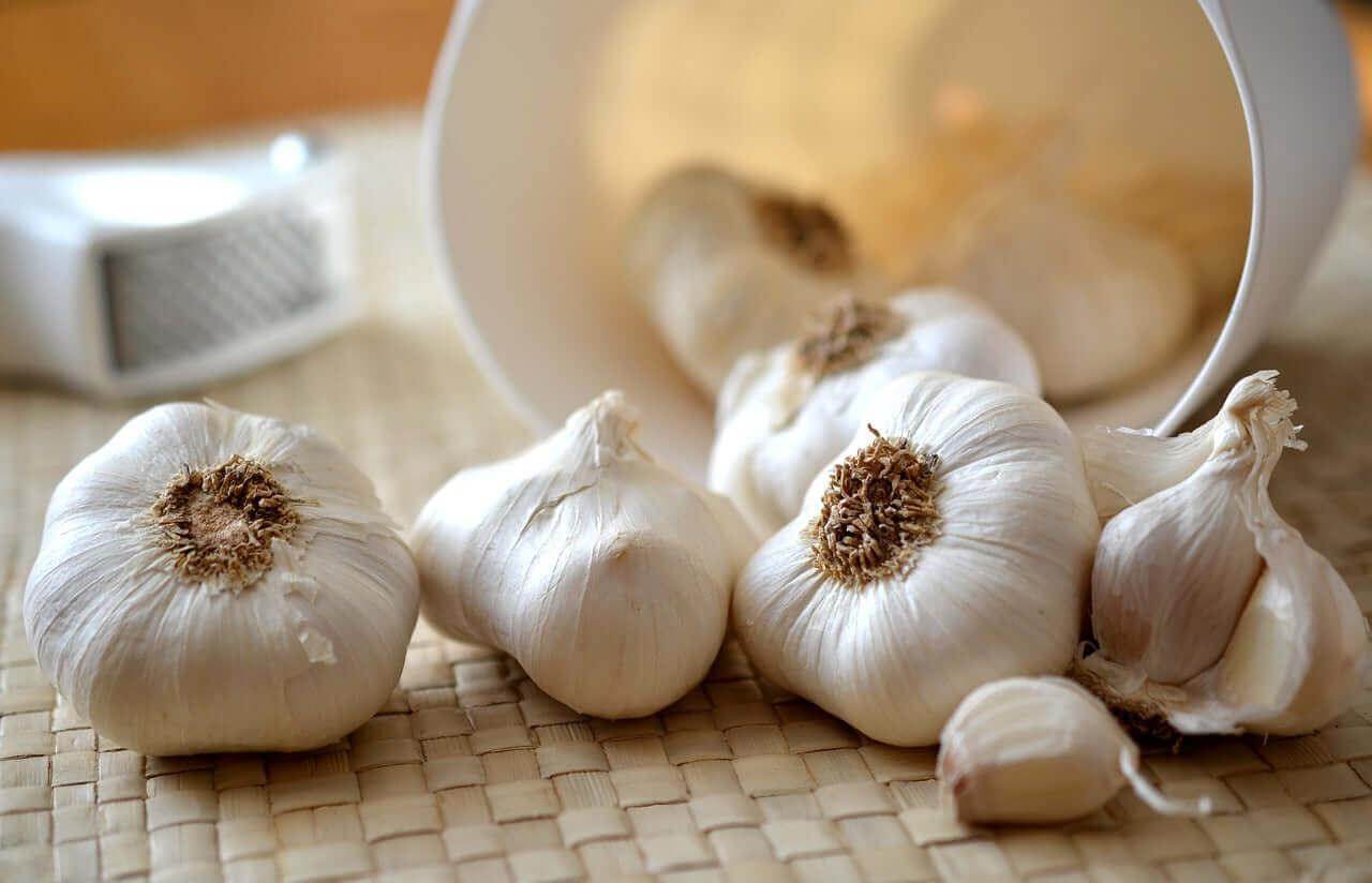 Der vielseitige Knoblauch - ein amüsanter Einblick - Kochschein
