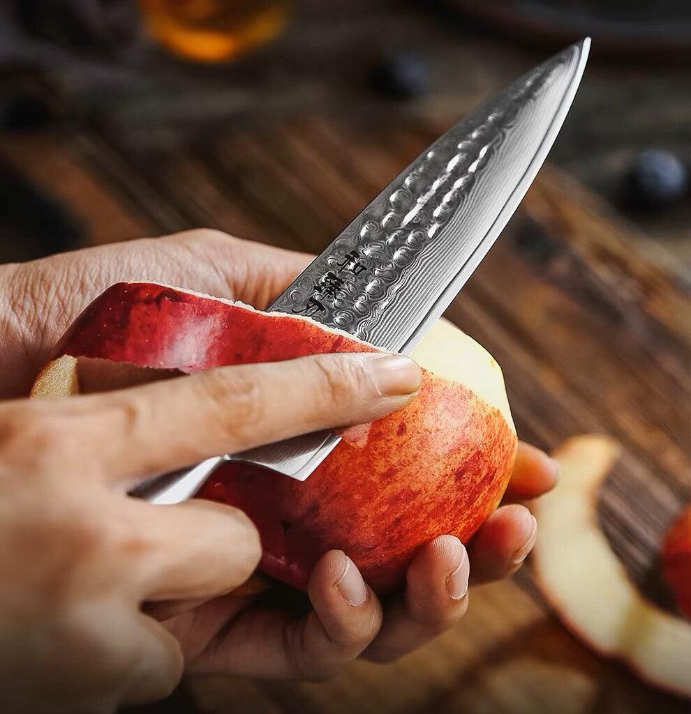 HEZHEN Santoku Damastmesser - Master Series 5 Zoll | 73-Lagen Premium Qualität - Kochschein