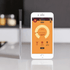 Küchen Ofenthermometer - Ofen und Grill - USB & Bluetooth (2 Farben) - Kochschein