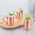 Wunderschöner Kupferbecher - Moscow Mule Tasse - 400ml (Sets) - Kochschein